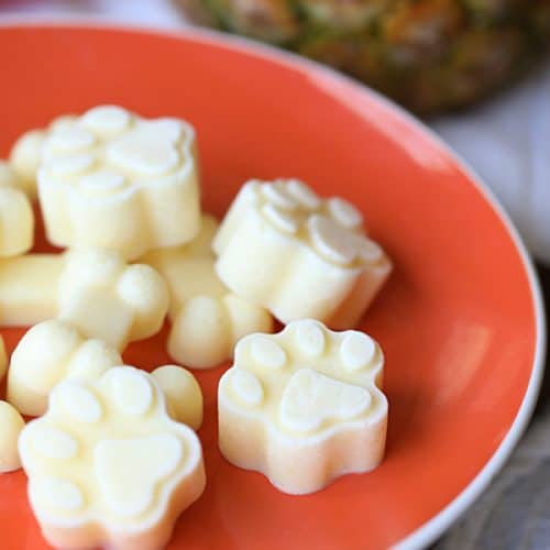 Dog-Friendly Pineapple Treat Recipe