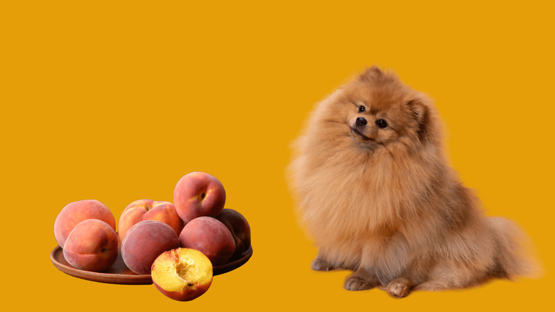 Tips for Safely Sharing Peaches with Your Dog