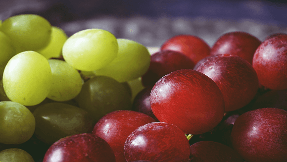 Ohmylovelypets - two types of grapes (green and red)